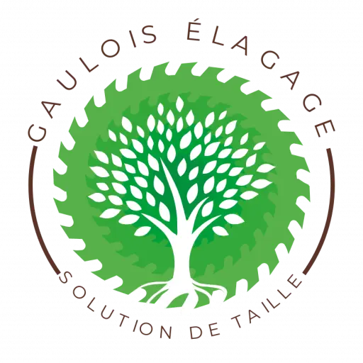 Gaulois Elagage